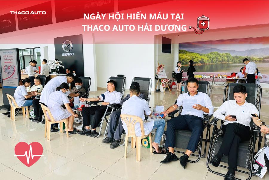 Tin tức