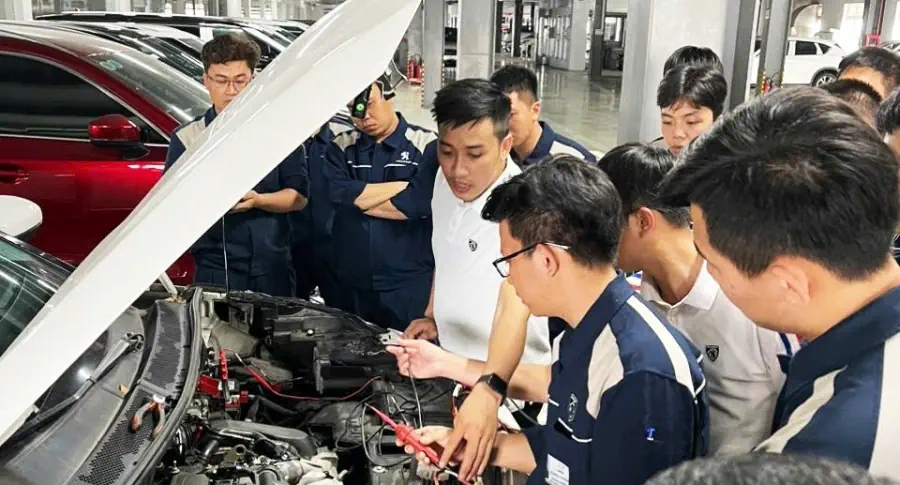Nhân sự kỹ thuật THACO AUTO An Giang tham gia chương trình huấn luyện chẩn đoán điện động cơ xe Peugeot