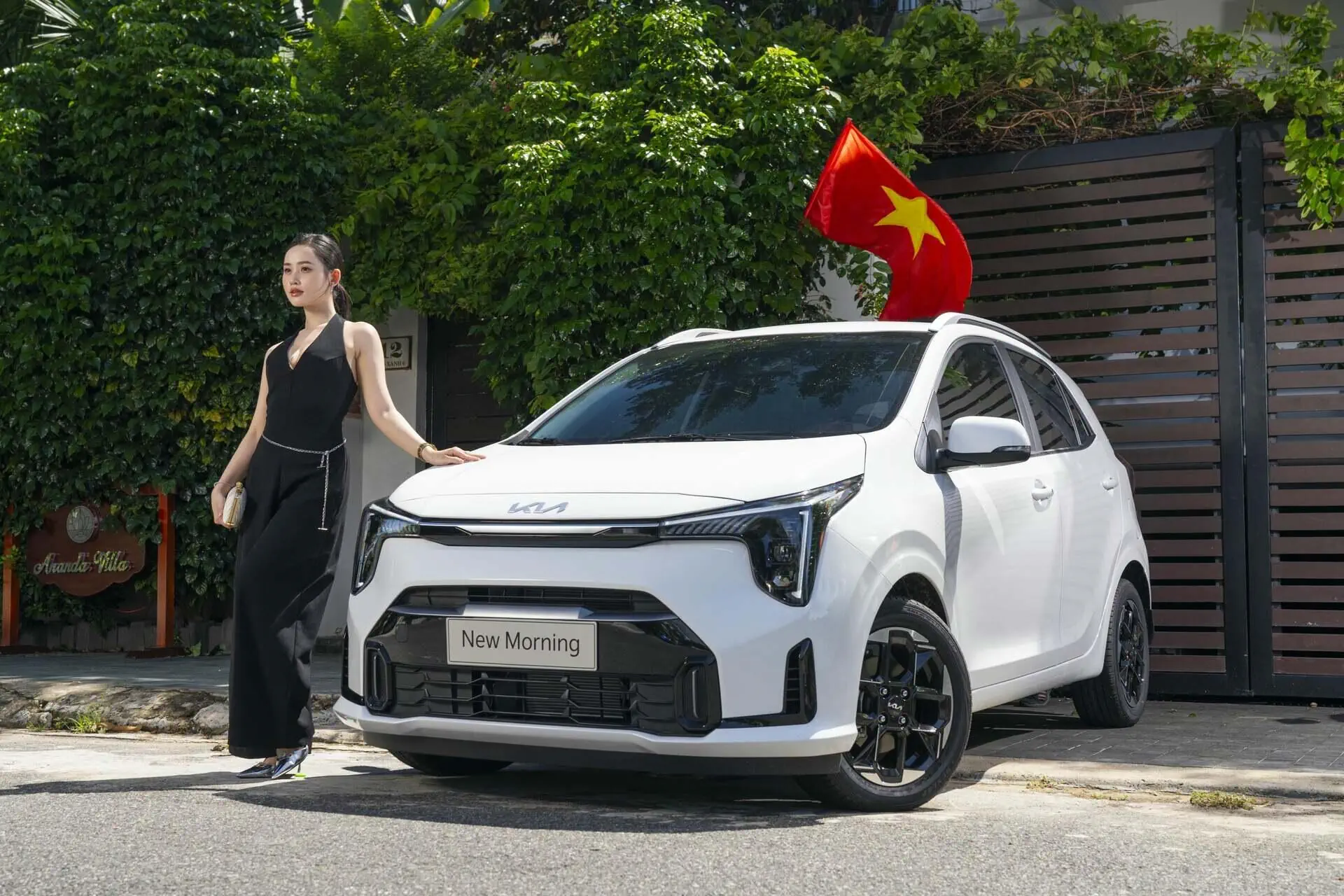 Tin tức