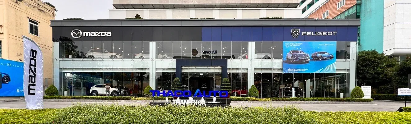 Tin tức