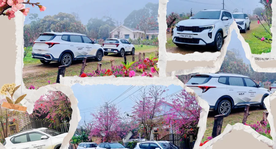 THACO AUTO Bình Định và hành trình kết nối quê hương Vĩnh Thạnh