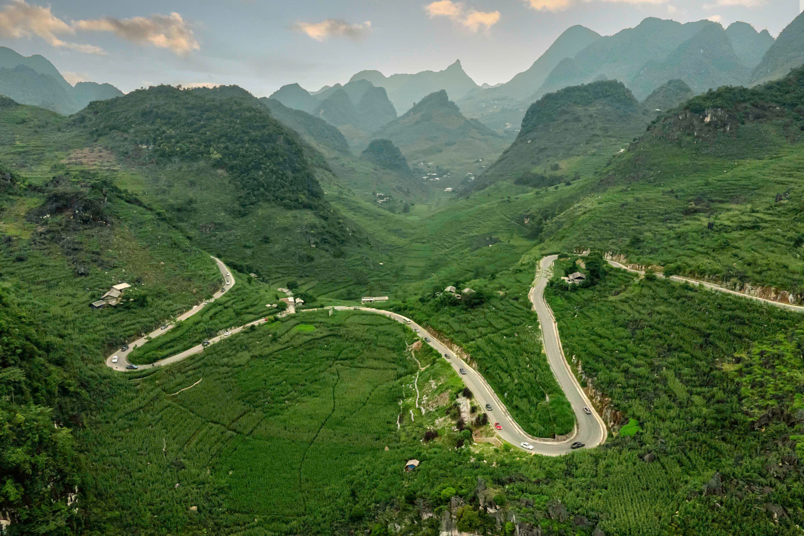 Tin tức