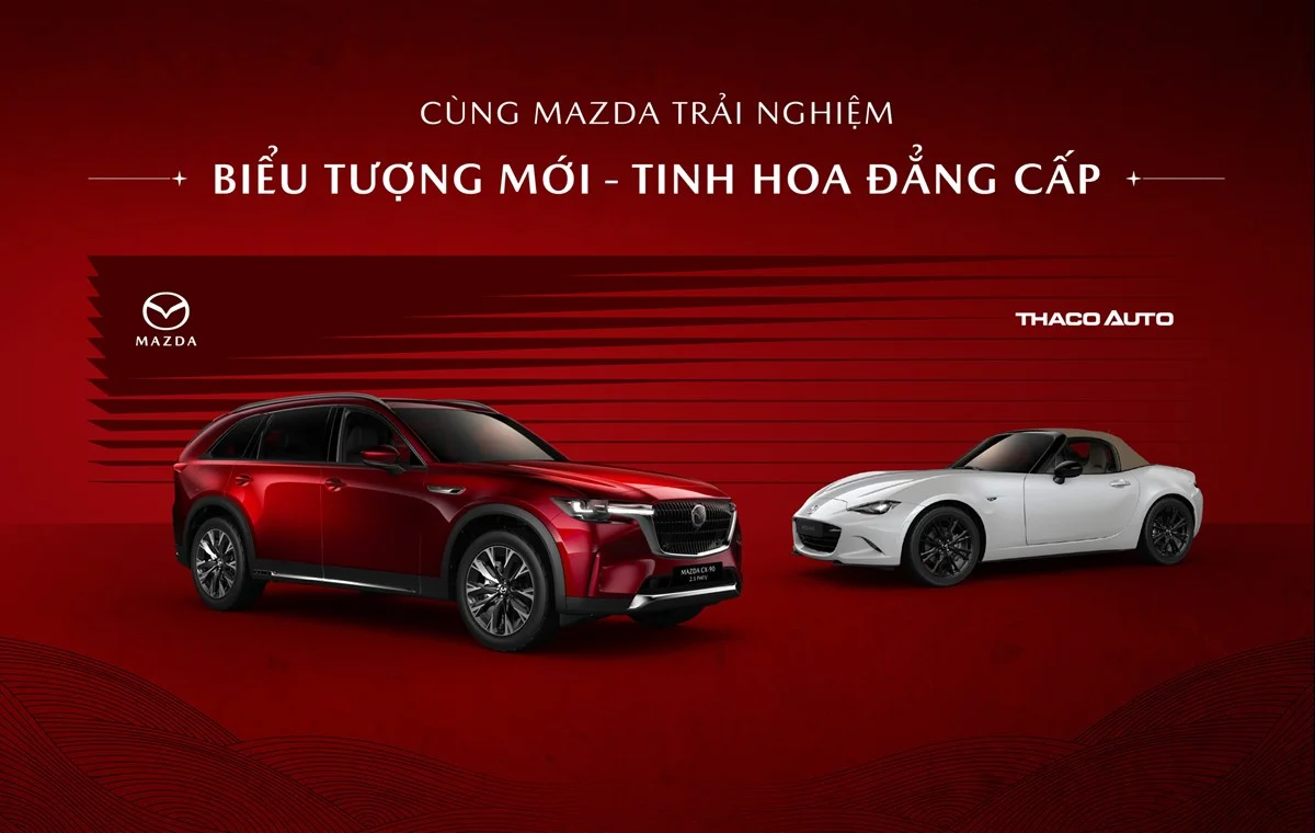 Tin tức