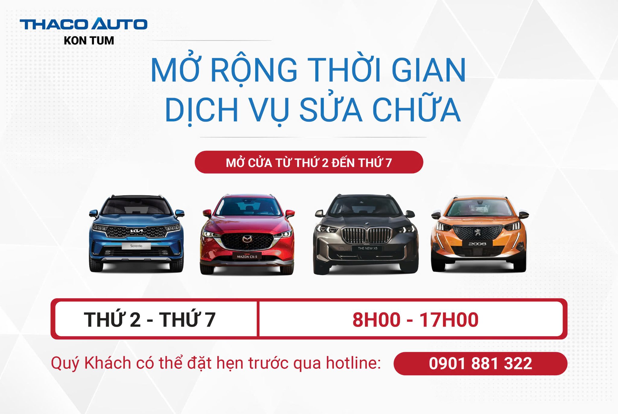 Tin tức