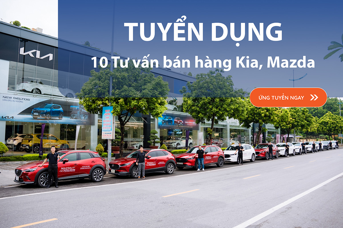 Tin tức