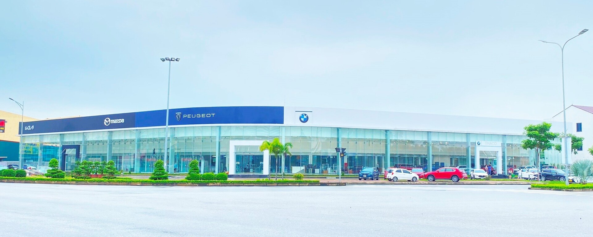 Tin tức
