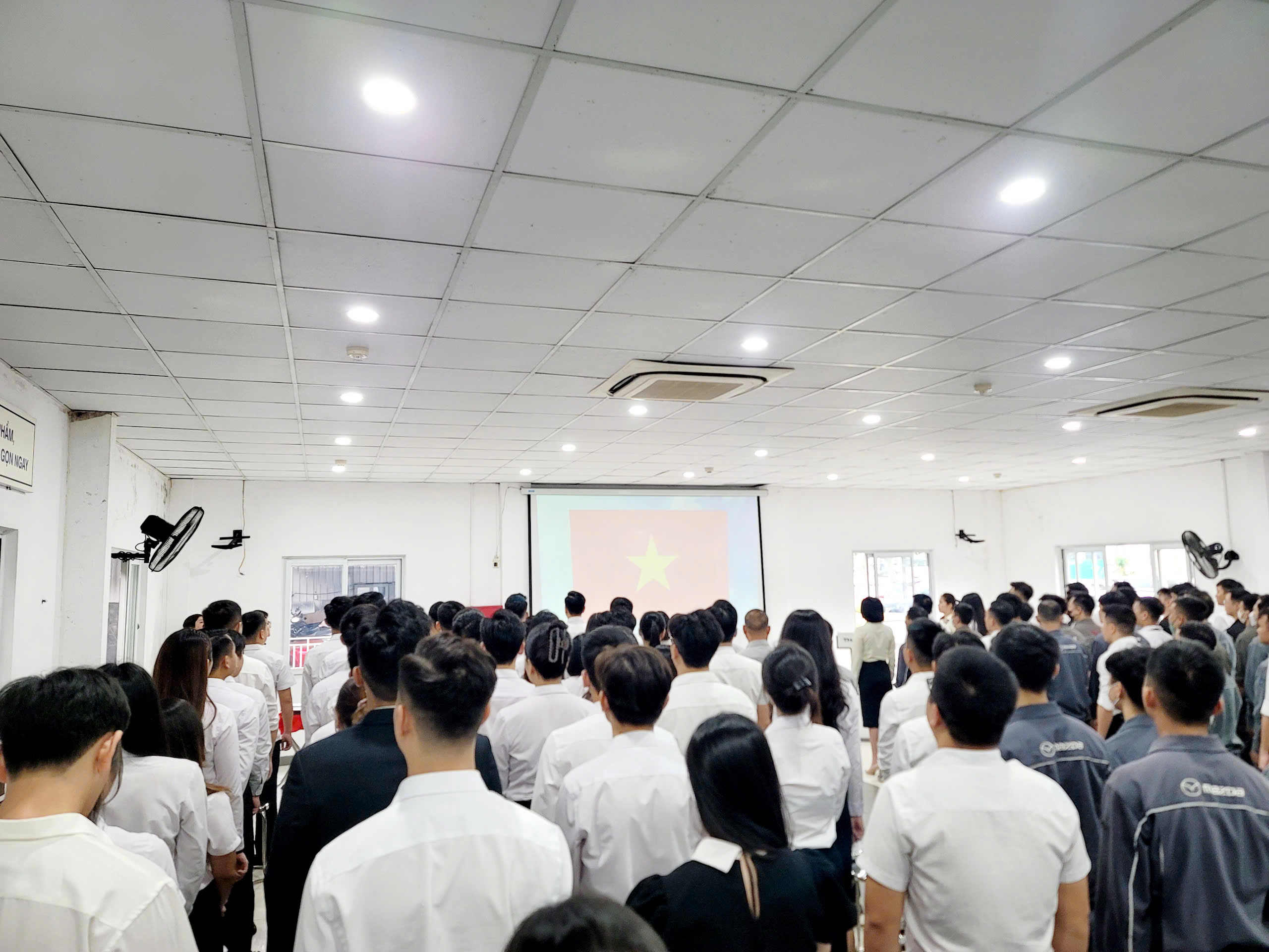 Tin tức