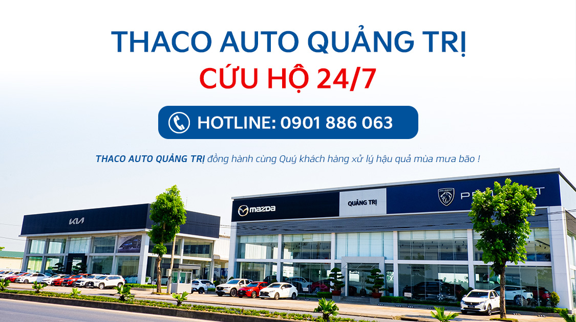 Tin tức