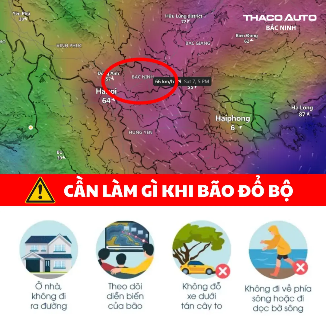 Tin tức
