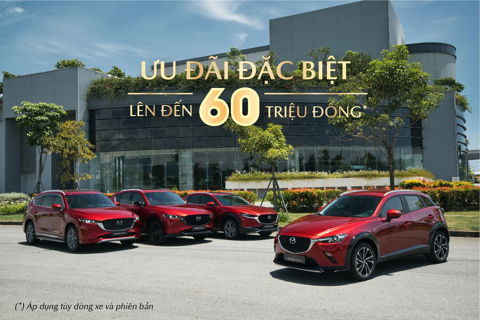 Tin tức