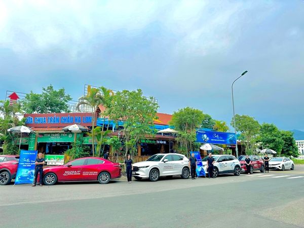 Tin tức