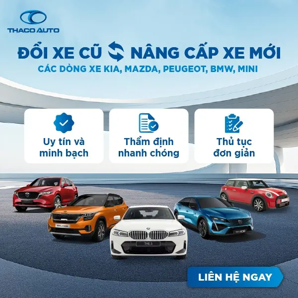 Tin tức