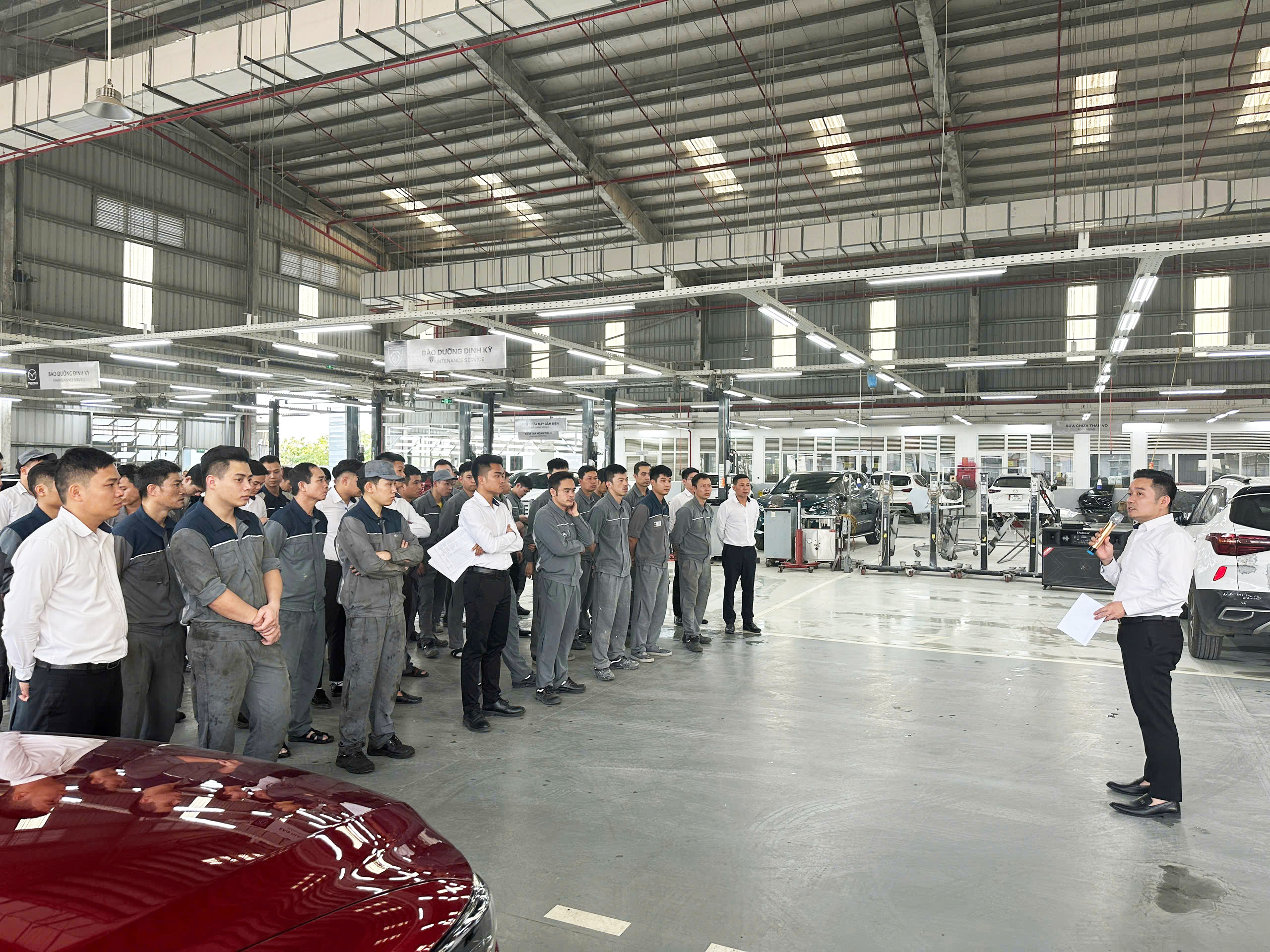 Tin tức